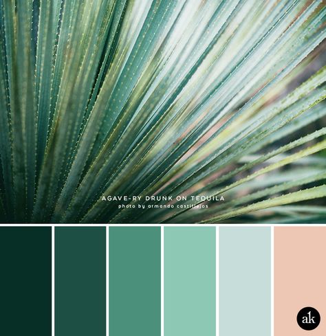 an agave-inspired color palette // green, blue, peach Teal Color Palette, Palettes Color, Modern Brands, Peach And Green, Green Colour Palette, Showroom Design, Bathroom Colors, Colour Board, Corfu