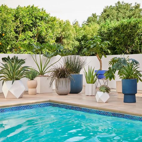 Landscaping Around Pool, Modern Planters Outdoor, Pool Plants, Pool Landscape Design, Pergola Design, Pool Landscape, Pool Backyard, Indoor Outdoor Planter, Backyard Pool Landscaping