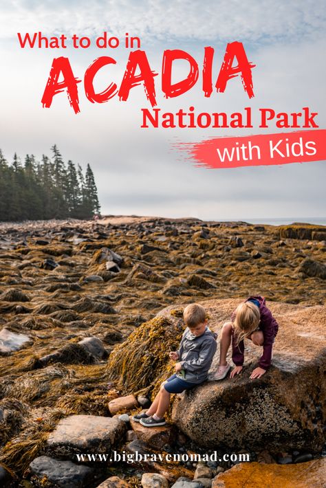 Acadia With Kids, Arcadia National Park Maine, Acadia National Park With Kids, Arcadia National Park, Acadia National Park Camping, Wonderland Trail, England Trip, Family Vacation Spots, Canada National Parks