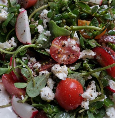 Greek Purslane Salad - My Gluten Free PhD Produce Pantry, White Wine Vinegar, Pantry Staples, Vegetarian Cheese, Greek Recipes, Caprese Salad, Gluten Free Vegetarian, Cherry Tomatoes, Wine Recipes