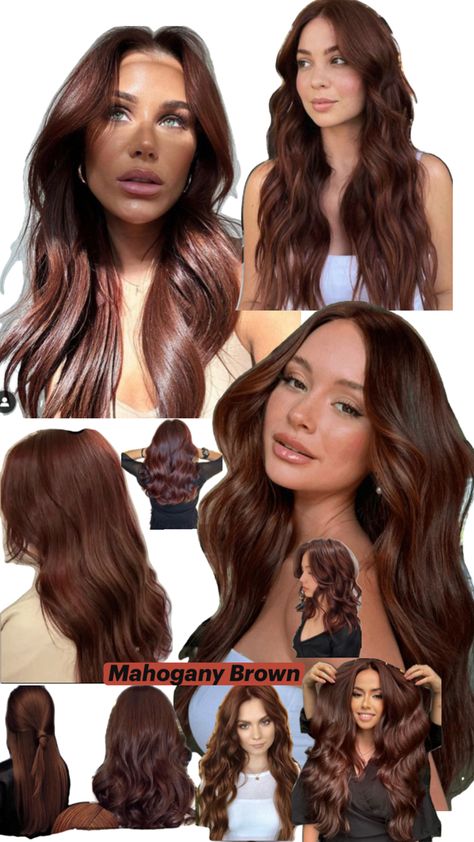 Mahogany Brown Hair, Mahogany Hair, Mahogany Brown, Brown Hair, Hair Styles, Hair