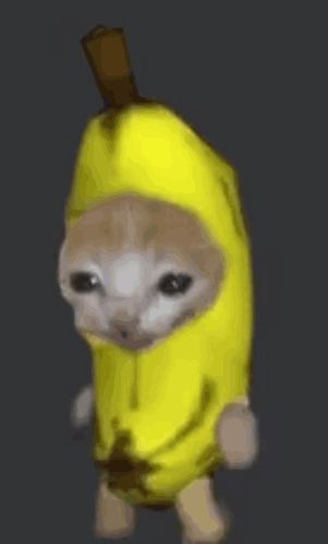 Banana Cat GIF – Banana Cat – discover and share GIFs Banana Cat Wallpaper, Banana Costume, Cat Animated, Banana Cat, Cat Crying, Cat Cartoon, Cat Walk, Cat Wallpaper, Cartoon Cat