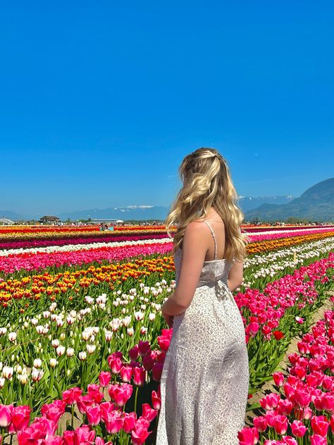 blonde girl in field of flowers Tulip Photoshoot, Spring Picture Ideas, Pinterest Flowers, Spring Core, Flowers Tulips, Spring Inspo, Artistic Pictures, Spring Pictures, Artsy Pictures