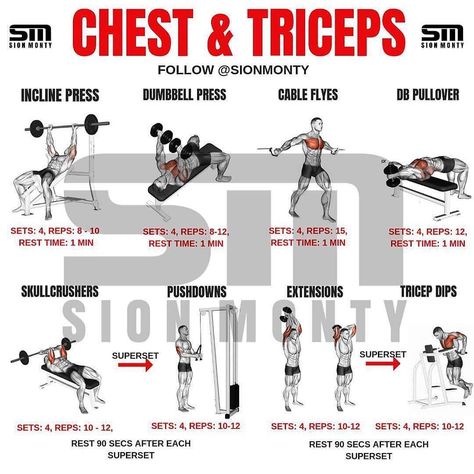 🔥Chest And Tricep Workout Routine🔥 By @sionmonty Give it a go this week 💪🏽 - Follow:@tips.4health _ TAG a Gym Buddy - Enjoy Tricep Workout Routine, Chest And Triceps Workout, Chest Day Workout, Chest And Tricep Workout, Chest Workout For Men, Fitness Studio Training, Tricep Workout, Wellness Nutrition, Cardio At Home