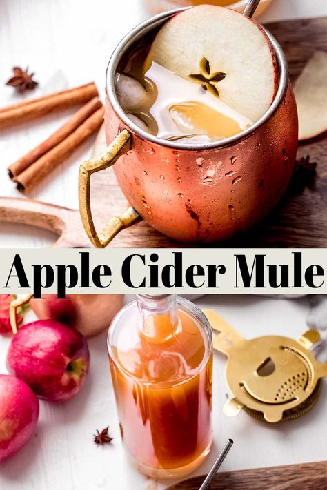 Apple Cider Mule, Cider Mule, Cider Moscow Mule, Ginger Beer Mule, Ginger Beer Drinks, Apple Cider Moscow Mule, Ginger Beer Cocktail, Spiked Apple Cider, Cider Drinks