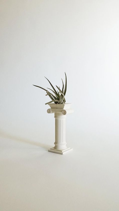 Types Of Air Plants, Chateaux Interiors, Ionic Column, Greek Columns, Air Plants Care, Greek Statues, Roman Columns, Light Works, Air Plant Holder