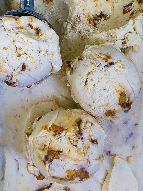 Ricotta Pine Nut Brittle Ice-Cream – Orangelolls Nut Brittle, Food Suggestions, Toblerone Chocolate, Pistachio Gelato, Milk Ice Cream, Pine Nut, Nut Recipes, Big Chill, Special Desserts