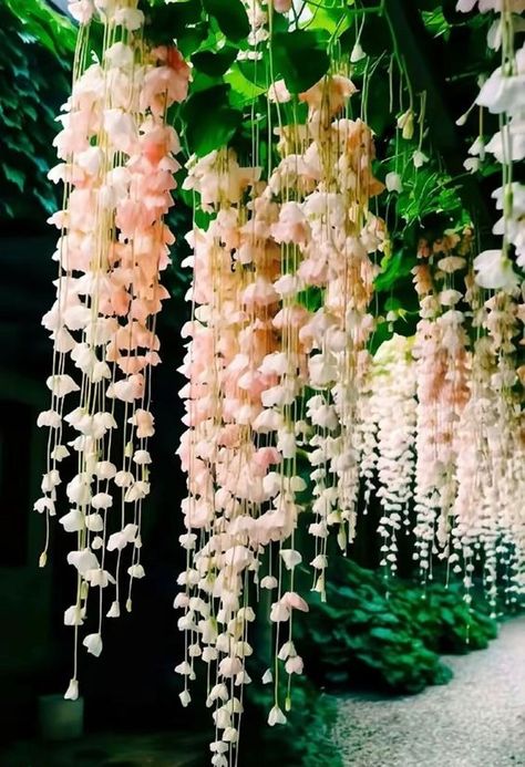 ♔ Bégonias Pleureurs - Weeping Begonias Weeping Begonia, Desired House, Ethereal Flowers, Fairy Garden Plants, Balcony Plants, Modern Flower Arrangements, Unusual Flowers, Pink Garden, Welcome Spring