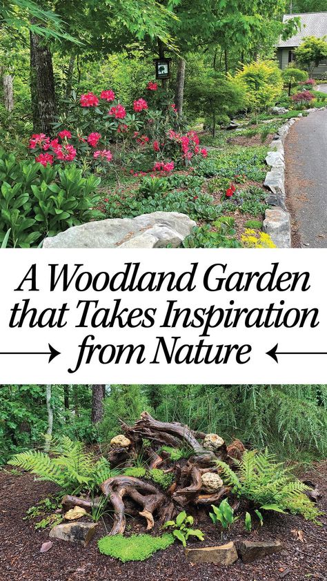 Woodland Landscaping Ideas Front Yard, Woodland Garden Paths And Walkways, Nature Friendly Garden Ideas, Gardens In The Woods, Woodland Landscape Design, Woodland Garden Path, Woodland Shade Garden Ideas, Natural Landscaping Ideas Backyards, Natural Woodland Garden