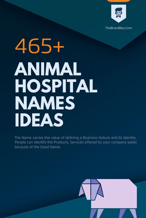 Vet Names: 885+ Best And Catchy Names Vet Clinic Name Ideas, Veterinary Logo Ideas, Veterinary Clinic Name Ideas, Creative Company Names, Dog Clinic, Veterinary Studies, Sanskrit Names, Pet Hospital, Hospital Health