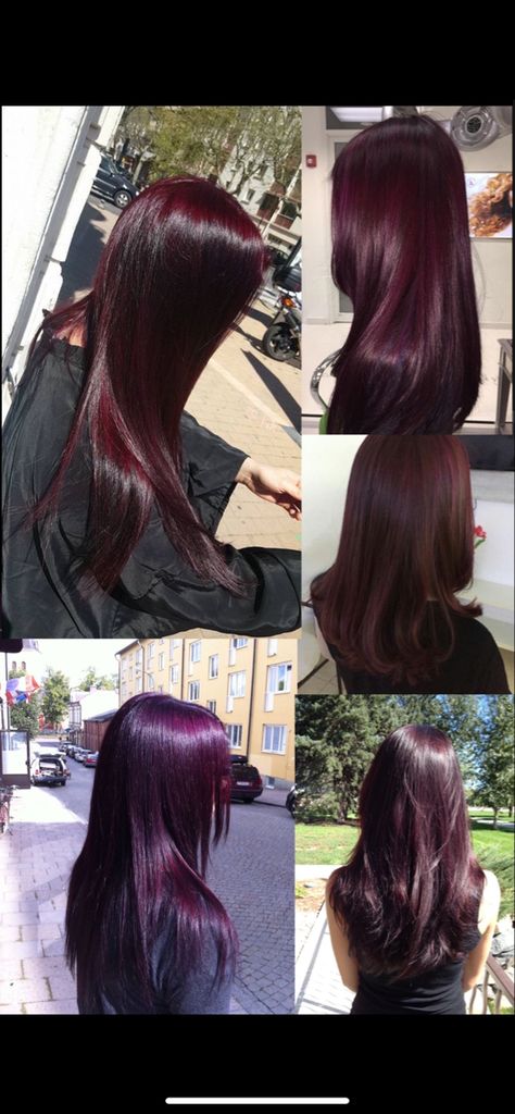 Cherry Red And Purple Hair, Dark Red And Dark Purple Hair, Dark Wine Purple Hair, Dark Vampire Red Hair, Dark Redish Purpleish Hair, Deep Red And Purple Hair, Blackberry Red Hair, Dark Purple On Black Hair, Dark Purple Maroon Hair