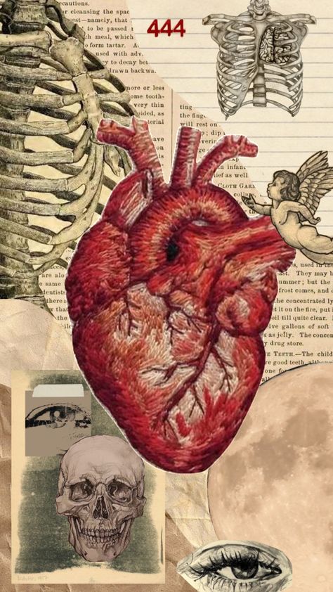 #moodboard #vintage #collage #aesthetic #red #hearts #heart #anatomy Heart Organ, Anatomical Heart Art, Heart Diagram, Heart Collage, Heart Anatomy, Medical Wallpaper, Arte Punk, Heart Sketch, Human Anatomy Art