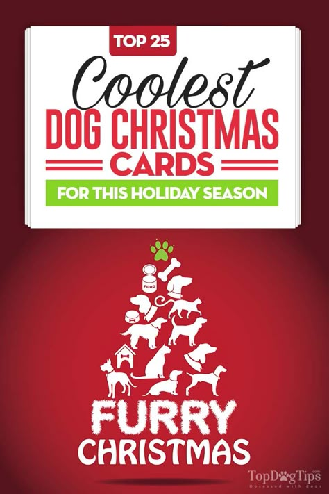 25 Cool and Unique Dog Christmas Cards for Pet Owners Dog Christmas Cards, Christmas Family Feud, Puppy Christmas Gift, Christmas Card Writing, Animals Jokes, Card Writing, Pet Christmas Cards, Christmas Card Sayings, Merry Christmas Dog