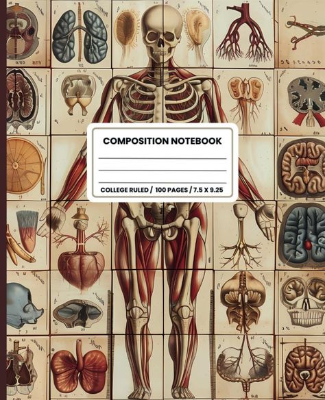 Composition Notebook College Ruled: Vintage Human Anatomy Medical Illustration. Skeleton Skull Bones Aesthetic: Publishing, Racing Bathtub: Amazon.com: Books Anatomy Books Aesthetic, Goodnotes Wallpaper, Journals Amazon, Anatomy Medical Illustration, Bones Aesthetic, Goodnotes Paper, Aesthetic Journals, Anatomy Medical, Ipad Notes