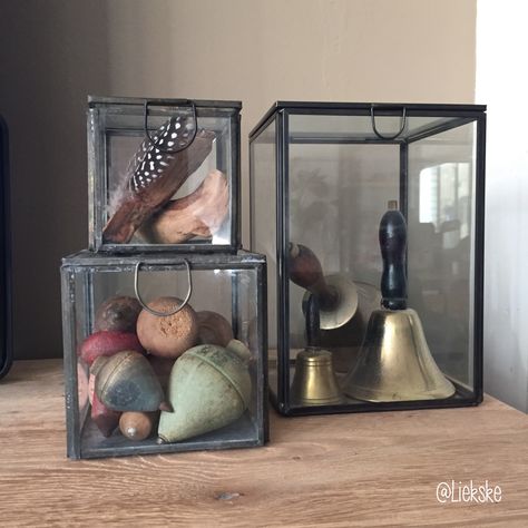 Decorating with glass decoboxes. Just a lovely display of odd bits ! Jar Collection, Glass Box, Display Cases, Ceramic Birds, Glass Boxes, Glass Jar, Display Case, Apothecary, Decoration Ideas