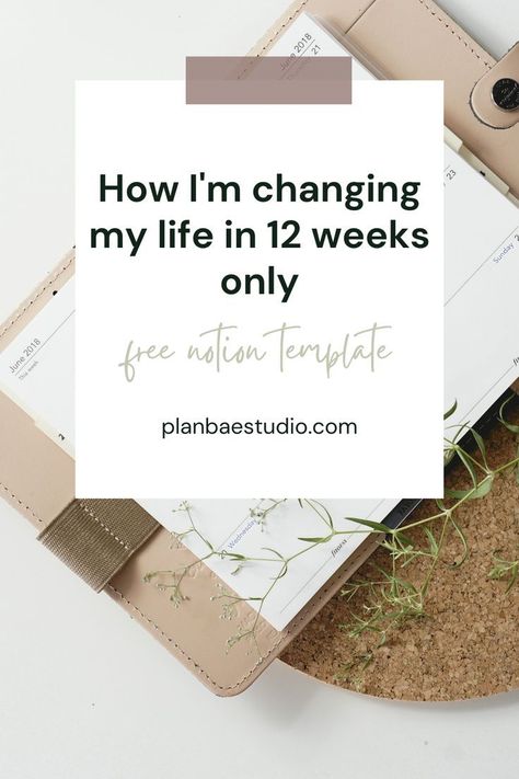 #Life_Plan_Template #12_Week_Year #The_12_Week_Year #12_Week_Transformation Life Plan Template, Student Planner Organization, Changing My Life, Simple Weekly Planner, Life Planner Organization, 90 Day Plan, Daily Action, Small Business Planner, Declutter Your Life