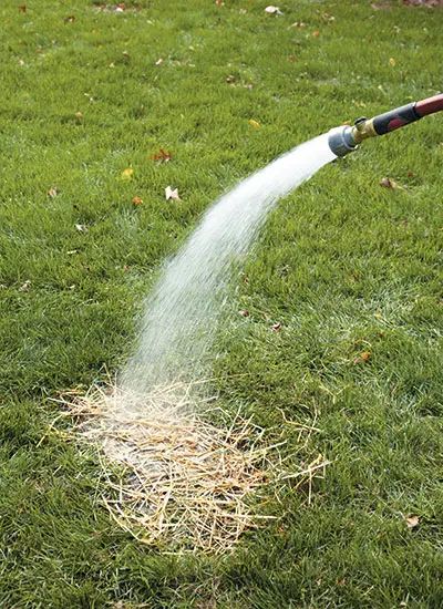 How to repair bald spots in your lawn: Tired of looking at bald spots in your lawn? We'll show you exactly how and when to fix them. Create A Flower Bed, Reseeding Lawn, Overseeding Lawn, Front Yard Flower Bed, Lawn Renovation, Lawn Care Schedule, Fall Lawn Care, Flower Bed Decor, Shaded Garden