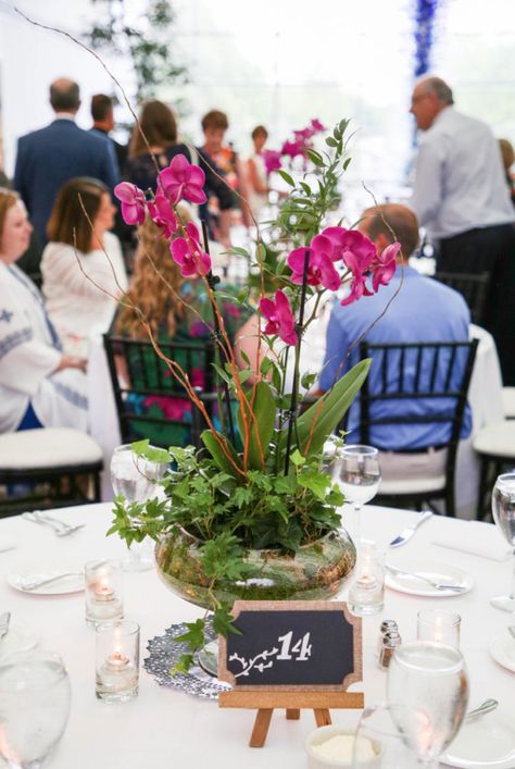 Bright pink orchid centerpieces | Missouri Botanical Gardens Wedding | photo by Erin Ridge of Woven Bone Photography | featured on The Pink Bride® www.thepinkbride.com Boho Orchid Wedding, Orchid Centerpieces Wedding Diy, Wedding Orchids Centerpieces, Wedding Centerpieces Orchids, Orchid Centerpiece Ideas, Orchid Centerpiece Wedding, Orchid Centerpiece Diy, Orchid Arrangements Centerpieces, Plant Centerpieces Wedding