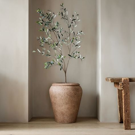 Best Faux Olive Trees in Pots to Elevate Your Home Indoor Olive Tree, Black Olive Tree, Potted Olive Tree, Olive Plant, Indoor Tree, Faux Olive Tree, Faux Tree, Potted Trees, Black Olive