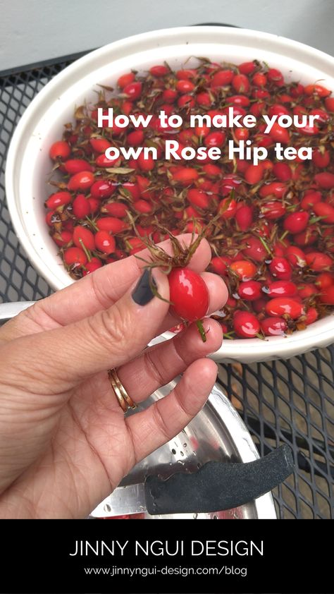 Rose Hip Tea, Rosehip Recipes, Rosehip Tea, Wild Food Foraging, Herbal Remedies Recipes, Dried Chillies, How To Make Rose, Medical Herbs, Homemade Tea