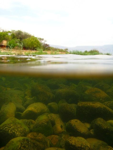 Aquatic Landscape, Underwater Lake, Underwater Forest, Isak Dinesen, Underwater River, Water Inspiration, Shark In Kelp Forest, Lake Tanganyika, Ocean Storm