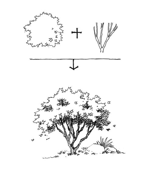 Chapter 16 Studio on Instagram: “Start sketching large shrubs and trees with branches.😊 With the technique of drawing shrubs and adding trunks, a tree will come out. Please…” Drawing Bushes Shrubs, Tree Growing Drawing, Drawing Prospective, Shrubs Drawing, Tree Shading, Branches Drawing, Drawing A Tree, Trees Sketch, Bush Drawing