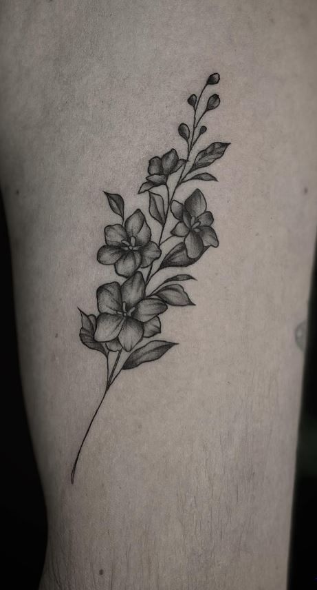 Larkspur And Moon Tattoo, Larkspur Delphinium Tattoo, Dainty Larkspur Tattoo, Larkspur Birth Flower Tattoo, Larkspur And Cosmos Tattoo, Larkspur Wrist Tattoo, Black And White Larkspur Tattoo, Larkspur And Daffodil Tattoo, Larkspur Flower Tattoo Black And White