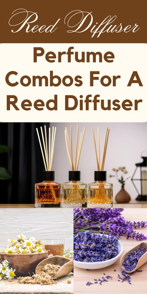 An Eco-Friendly and Budget-Friendly DIY Option
In this blog post, we will explore the wonderful world of DIY reed diffuser oils, focusing on eco-friendliness and budget-friendliness. Join us as we dive into the benefits of using eco-friendly options, the advantages of making your own reed diffuser oil, essential ingredients, a step-by-step guide, tips for an environmentally friendly approach, and some delightful DIY recipes to try. Essential Oil Reed Diffuser Recipes, Homemade Diffuser Oil Recipes, Essential Oil Products To Sell, Diy Reed Diffuser Oil Recipe, Diy Reed Diffuser Recipes, Diffuser Oil Recipes, Diy Diffuser Oil, Reed Diffuser Blends, Reed Diffuser Recipe