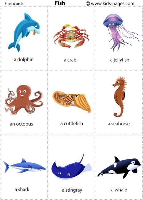 Animals Flashcards - It's fun to learn Printable Flashcards, Animal Flashcards, Learning English For Kids, Flashcards For Kids, Kids Pages, English Vocab, Printable Flash Cards, English Activities, Memory Game