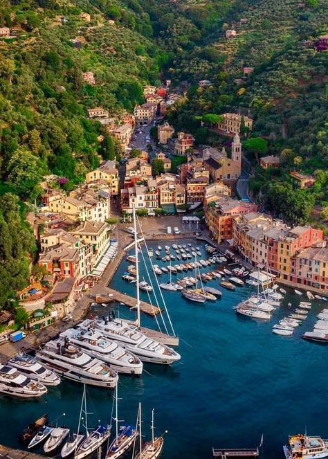 My beautiful Italy❤ | Portofino | Facebook Italy Portofino, Portofino Italy, Amalfi Italy, Pisa Italy, Little Italy, Northern Italy, Future Travel, Beautiful Places In The World, Florence Italy