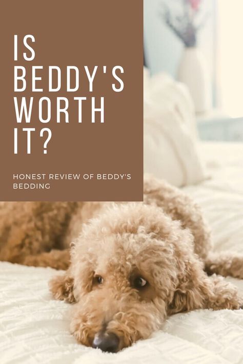 Beddys Bedding Diy, Beddys Bedding Adult Room, Diy Beddys Bedding, Beddys Bedding, Trailer Camping, Travel Trailer Camping, Room Redo, Make Your Bed, Diy Bed