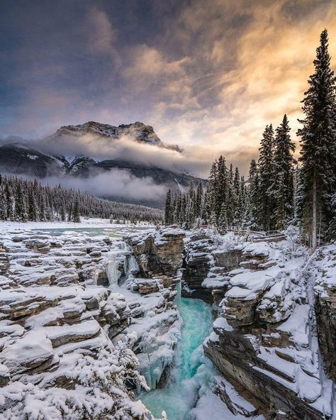 Athabasca Falls is a waterfall in Jasper National Park on the upper Athabasca River, approximately 30 kilometres (19 mi) south of the townsite of Jasper, Alberta, Canada, and just west of the Icefields Parkway. 📷@branden.kolada Authentic Pics, Night Sister, Good Night Sister, National Park Photography, Jasper Alberta, Icefields Parkway, Mountain Waterfall, National Parks Photography, Journal Travel