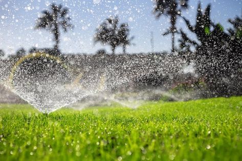 Photo sprinklers watering the green lawn... | Premium Photo #Freepik #photo #sprinkler #irrigation-system #irrigation #drip-irrigation Automatic Irrigation System, Water Bill, Landscaping Garden, Water Waste, Water Efficiency, Sprinklers, Drip Irrigation, Water Usage, Green Lawn