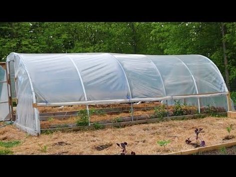 (230) DIY Metal Hoop House Build │ Simple High Tunnel Greenhouse - YouTube High Tunnel Greenhouse, Cold Frame Diy, High Tunnel, Hoop House, Tunnel Greenhouse, Healing Garden, Tunnel Of Love, Hot House, House Siding