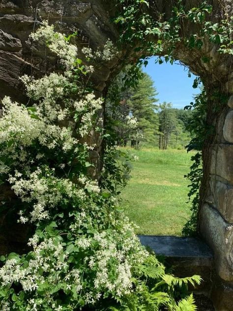 Cottagecore Forest, Green Cottagecore, Nostalgia Aesthetic, Cottage Aesthetic, Nostalgic Images, Mystical Forest, Cottagecore Aesthetic, Nature Aesthetic, Pretty Places