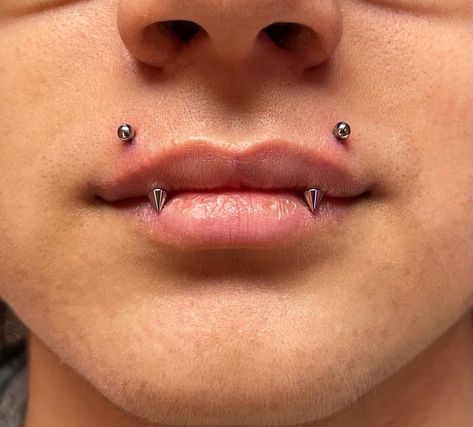 Angel Lip Piercing, Angel Piercing Lips, Vampire Fangs Piercings, Angle Bite Fangs Piercing, Angel Bite Piercing Fangs, Kitty Fangs Piercing, Angel Fangs Piercing With Snake Bites, Reverse Angel Fangs, Angle Fangs Piercings