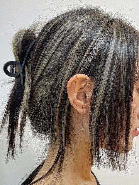 Updo With Two-Tone Color Hime Haircut, Hime Cut, Hairstyle Fashion, Hair Streaks, Wallpapers Quotes, Quotes Celebrities, Pretty Hair Color, Hair Stylies, 짧은 머리