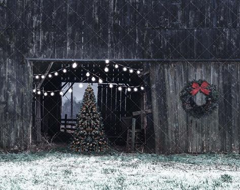 Christmas Barn Photo Session, Barn Christmas Photoshoot, Barn Christmas Decorations, Barn Photoshoot Ideas, Barn Wallpaper, Diy Christmas Pictures, Farm Backdrop, Family Holiday Pictures, Barn Christmas