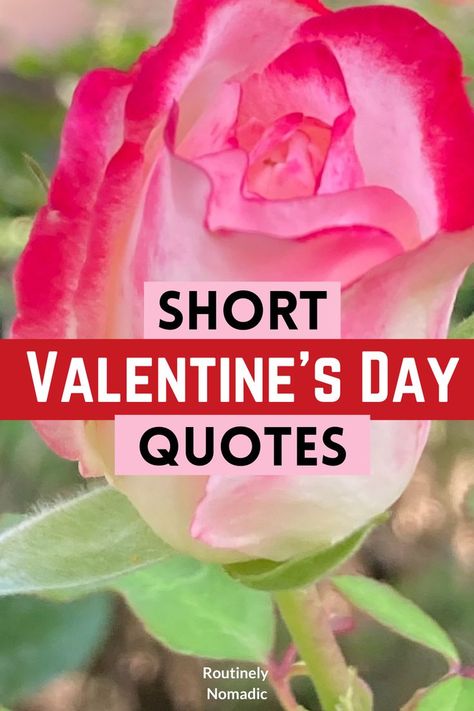 Did you just have the most amazing time on Valentine’s Day and are now looking for the best short Valentine’s Day quotes for inspiration and Instagram? Here are the best cute, funny, inspirational quotes about love and short romantic Valentine’s Day quotes for him (boyfriend or husband) or her (girlfriend or wife). Find the best one that fits your experience, picture or just inspires you! Valentine’s Day Quotes For Wife, Valentine's Quote For Husband, Husband Valentine Card Handmade, Valentine Love Quotes For Him, Quotes For Valentines Day For Him, Love Quotes For Him Valentines Day, Valentines Poems For Her, Valentine’s Day Love Quotes, Valentine Sayings For Boyfriend