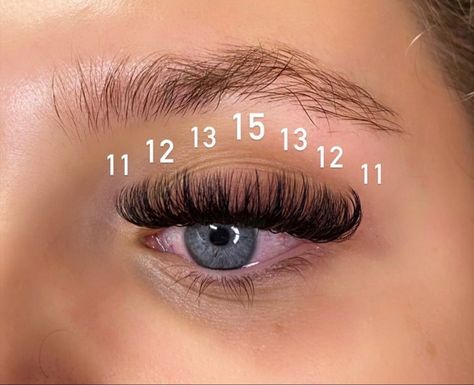 15mm Lash Extensions, Volume Eyelash Extensions Mapping, Mega Lash Map, Mega Lash Extensions Mapping, Volume Set Lash Extensions Mapping, 10mm Lash Extensions, Lash Extensions Sizes, Lash Extensions With Numbers, Dramatic Lash Mapping