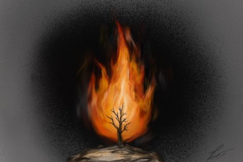 #candles #aesthetic #drawing #draw #flames #fire #trees #procreate #pinterest #artist #art #digitalart Candles Aesthetic Drawing, Tree On Fire Drawing, Tree On Fire Tattoo, Fire Painting Acrylic Easy, Draw Flames, Tree On Fire, Fire Sketch, Crochet Textiles, Drawing Hacks