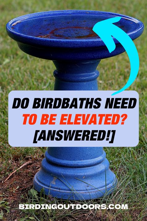 Bird Bath Stand Ideas, Diy Bird Bath Stand, Bird Bath Pedestal Ideas, Bird Bath Base Ideas, Natural Bird Bath Ideas, Garden Bird Bath Ideas, Repurpose Bird Bath, Home Made Bird Bath Ideas, Front Yard Bird Bath Garden Ideas