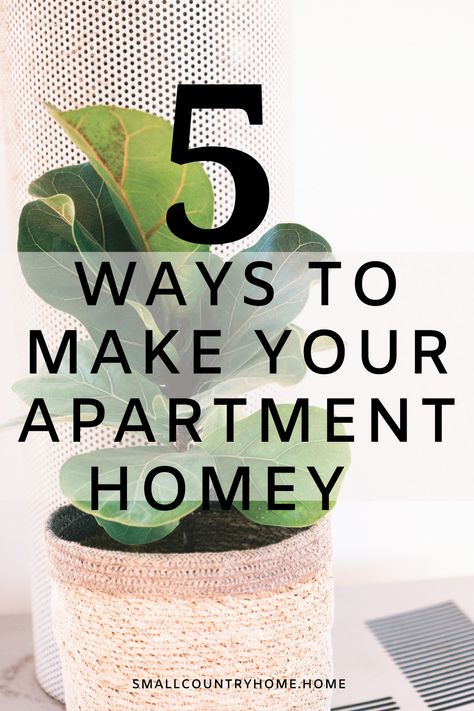 How To Make My Apartment Cozy, Making Apartment Feel Like Home, How To Make Apartment Feel Like Home, Cozy Condo Aesthetic, Make An Apartment Feel Like Home, Make Apartment Cozy, Making An Apartment Feel Like Home, How To Make Your Apartment Cozy, Make Apartment Feel Like Home