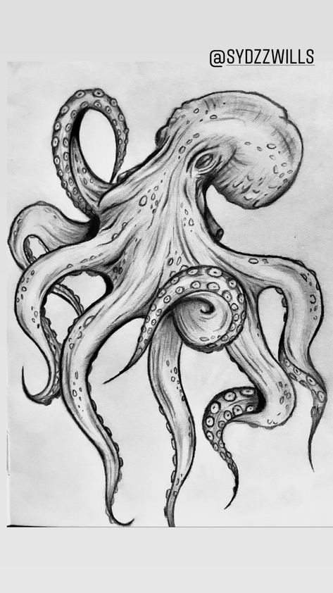 Okhtapos Tattoo, Octopus Drawing Pencil, Kraken Tattoo Design Drawings, See Creatures Drawing, The Kraken Drawing, Octopus Sketch Drawings, Octopus Drawing Reference, Octopus Pencil Drawing, Sea Creatures To Draw