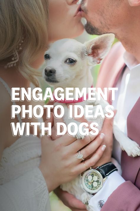 engagement photos with dogs Pet Engagement Pictures, Engagement Dog Photos, Dog Engagement Announcement, Engagement Photos With Dogs Ideas, Engagement Photos Ideas With Dog, Engagement Pictures With Dog, Adorable Engagement Photos, Engagement Photos With Dogs, Engagement Photos With Dog