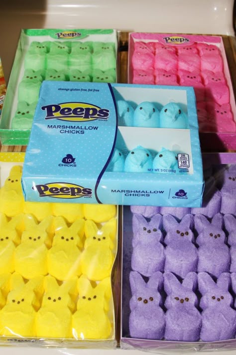 These Peeps Easter Egg Rice Krispie Treats are made with multi colored marshmallow Peeps and shaped into Easter eggs. Egg Rice Krispie Treats, Easter Egg Rice Krispie Treats, Peeps Flavors, Squishy Ideas, Peeps Recipes, Egg Shaped Cookies, Freeze Dried Food Storage, Peeps Marshmallow, Easter Aesthetic