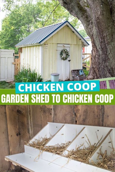 Chicken Coop Garden Shed, How To Turn A Shed Into A Chicken Coop, Old Shed Chicken Coop, Best Chicken Coop Ideas, Chicken Coop With Storage Room, Turning Shed Into Chicken Coop, Shed To Coop Conversion, Big Chicken Coop Ideas, Metal Shed Chicken Coop