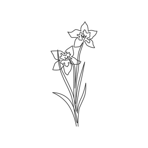 Daffodil Outline, Narcissus Flower, Daffodil Flower, Continuous Line Drawing, Outline Drawings, Continuous Line, Birth Month Flowers, Birth Flowers, Design Vector