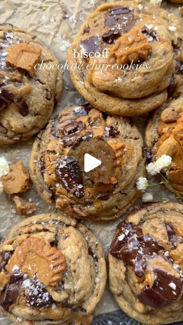 Erin Kyles on Instagram: "Biscoff chocolate chip cookies 🍪 

because what’s more delicious than adding cookies into your cookies? They’re made with brown butter & cookie butter in the dough for a ton of flavor in every bite, loaded with chocolate chunks & biscoff cookies aaaand they’re small batch, yielding 8 large & delicious cookies. I posted these a while back & they’ve been a fan favorite ever since so here’s a gentle reminder that they’re still around 🤭

🍪 full recipe on my blog, 🔗 in my bio, or search up “fresh bean bakery biscoff chocolate chip cookies”

🏷️ #baking #chocolatechipcookies #cookies #cookielovers #cookierecipe #biscoff #biscoffcookies #cookiebutter #brownbutter #chocolatelovers #bakefromscratch #bakefeed #smallbatchbaking" Biscoff Cookie Recipe, Biscoff Chocolate, Biscoff Recipes, Brown Butter Cookies, Small Batch Baking, Biscoff Cookie Butter, Biscoff Cookies, Healthy Snacking, Cookie Butter