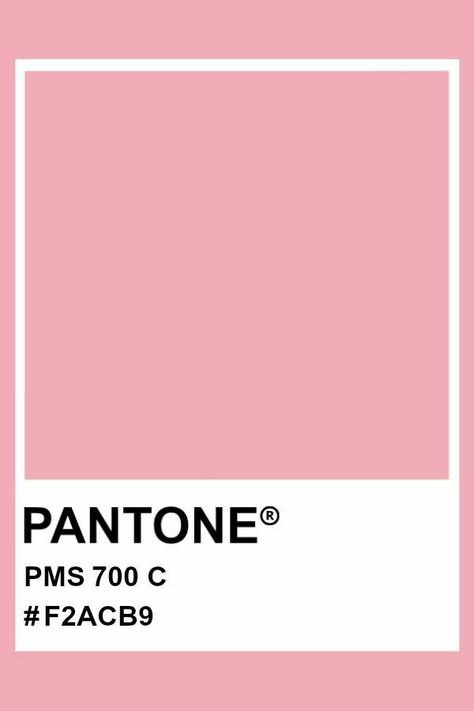 Pantone Rose, Colourful Things, Pantone Matching System, Pantone Colours, Soft Autumn Color Palette, Soft Summer Palette, Pantone Color Chart, Pantone Colour Palettes, Painters Palette